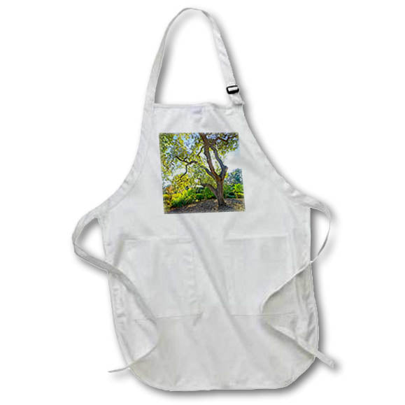 Apron - Beautiful backlit tree in a botanical garden Photography Landscape