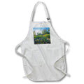 Apron - Desert Garden Landscape Photography Landscape