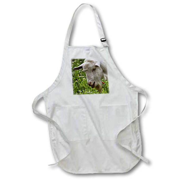 Apron - White Goat Grazing Artistic Pet Portrait Acrylic Painting - Goat