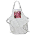 Apron - RED SEAWEED FILM DYLAN SEIBOLD - PHOTOGRAPHY