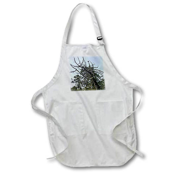 Apron - FROZEN CEDAR BRANCHES DYLAN SEIBOLD - PHOTOGRAPHY