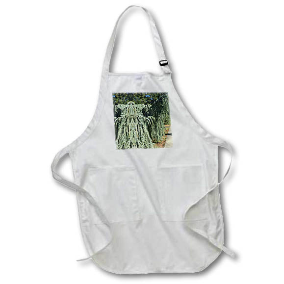 Apron - ELEGANT WEEPING CONIFER MIRROR PHOTO 2022 DYLAN SEIBOLD - PHOTO ABSTRACTION
