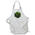 Apron - AQUARIUM SHRIMP PHOTO 2022 DYLAN SEIBOLD - PHOTOGRAPHY