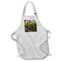 Apron - MOSSY BRANCH PHOTO 2022 DYLAN SEIBOLD - PHOTOGRAPHY