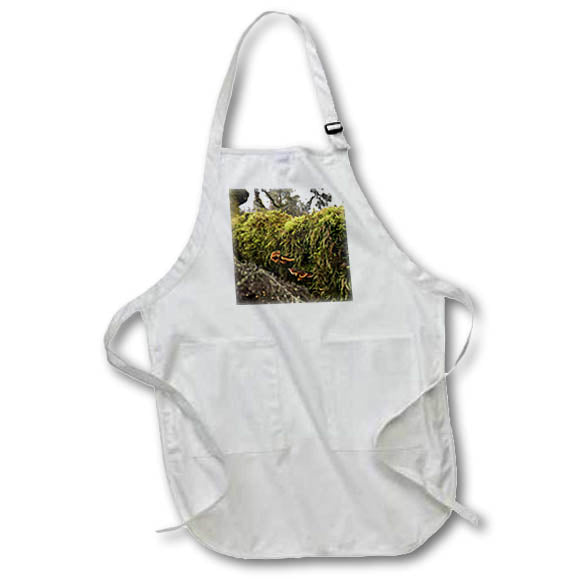 Apron - MOSSY BRANCH PHOTO 2022 DYLAN SEIBOLD - PHOTOGRAPHY