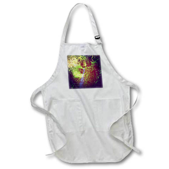 Apron - BEAUTIFUL SUNNY PATH THROUGH GRASS AND FOREST PHOTO 2022 DYLAN SEIBOLD - PHOTOGRAPHY