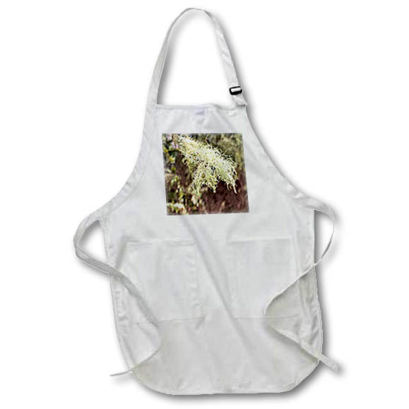 Apron - LICHEN HANGING FROM A BRANCH PHOTO 2022 DYLAN SEIBOLD - PHOTOGRAPHY