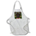 Apron - FERN STONE MIRROR PHOTO 2022 DYLAN SEIBOLD - PHOTO ABSTRACTION