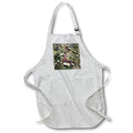 Apron - SEAWEED AND SCATTERED STONES PHOTO 2022 DYLAN SEIBOLD - PHOTOGRAPHY