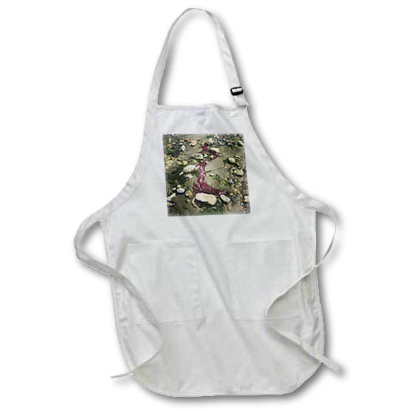 Apron - SEAWEED AND SCATTERED STONES PHOTO 2022 DYLAN SEIBOLD - PHOTOGRAPHY