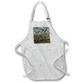 Apron - DRIFTWOOD WITH LICHEN MIRROR PHOTO 2022 DYLAN SEIBOLD - PHOTO ABSTRACTION