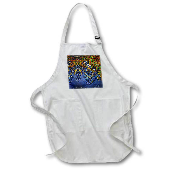 Apron - GRASS HAIR MIRROR BEACH FACE PHOTO 2022 DYLAN SEIBOLD - PHOTO ABSTRACTION
