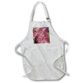 Apron - RED SEAWEED FILM DYLAN SEIBOLD - PHOTOGRAPHY