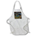 Apron - BY THE BAY DYLAN SEIBOLD -TRADIGITAL