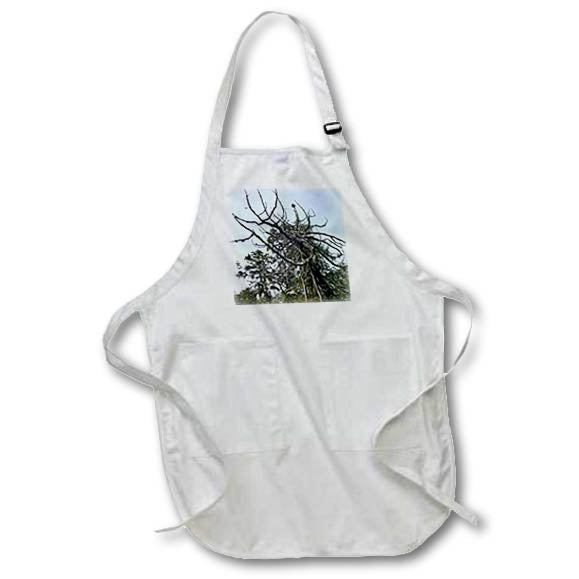 Apron - FROZEN CEDAR BRANCHES DYLAN SEIBOLD - PHOTOGRAPHY