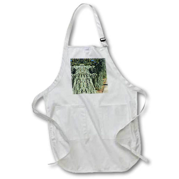 Apron - ELEGANT WEEPING CONIFER MIRROR PHOTO 2022 DYLAN SEIBOLD - PHOTO ABSTRACTION