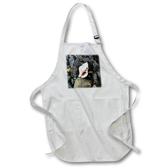 Apron - BEAUTIFUL SEA SHELL AND SEAWEED PHOTO 2022 DYLAN SEIBOLD - PHOTOGRAPHY