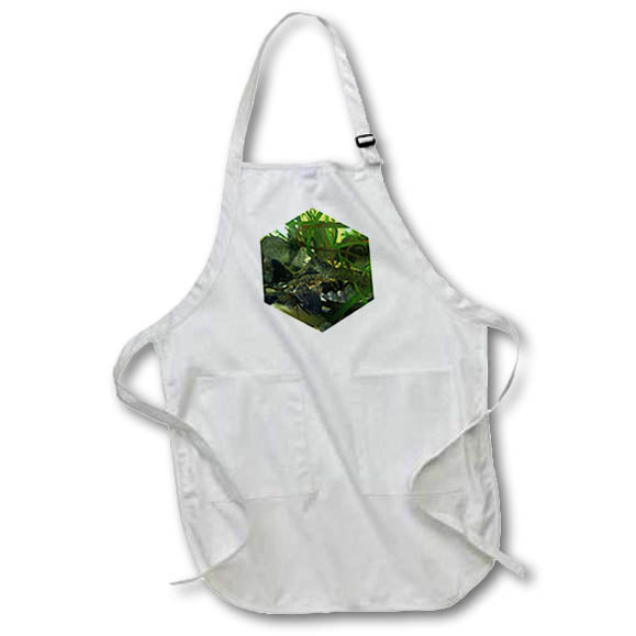 Apron - AQUARIUM SHRIMP PHOTO 2022 DYLAN SEIBOLD - PHOTOGRAPHY