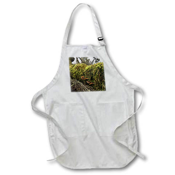 Apron - MOSSY BRANCH PHOTO 2022 DYLAN SEIBOLD - PHOTOGRAPHY