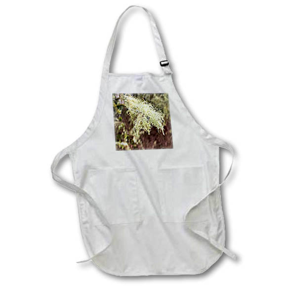 Apron - LICHEN HANGING FROM A BRANCH PHOTO 2022 DYLAN SEIBOLD - PHOTOGRAPHY