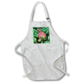 Apron - TOADSTOOL MUSHROOM PHOTO 2022 DYLAN SEIBOLD - PHOTOGRAPHY