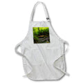 Apron - PEACEFUL RIVER BOULDER PHOTO 2022 DYLAN SEIBOLD - PHOTOGRAPHY