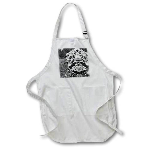 Apron - STONE FACE MIRROR PHOTO 2022 DYLAN SEIBOLD - PHOTO ABSTRACTION