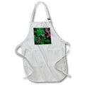 Apron - LITTLE MUSHROOM IN A GRASS PATCH PHOTO 2022 DYLAN SEIBOLD - PHOTOGRAPHY