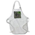 Apron - FALL ROOTS AND BRANCHES PHOTO 2022 DYLAN SEIBOLD - PHOTOGRAPHY