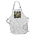 Apron - SEAWEED AND SCATTERED STONES PHOTO 2022 DYLAN SEIBOLD - PHOTOGRAPHY