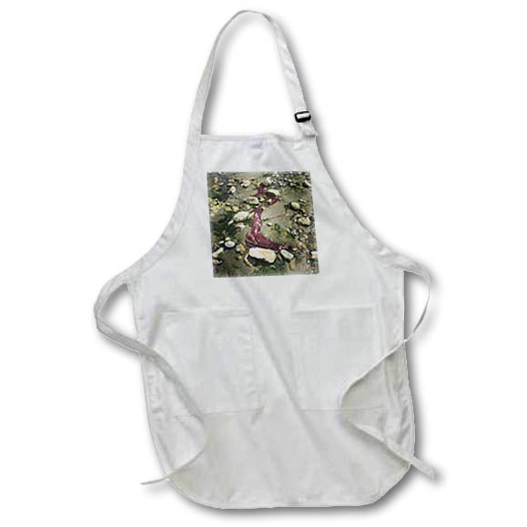 Apron - SEAWEED AND SCATTERED STONES PHOTO 2022 DYLAN SEIBOLD - PHOTOGRAPHY