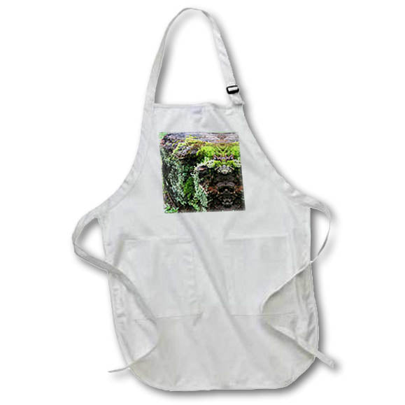 Apron - ROTTEN WOOD WITH LICHEN MIRROR PHOTO 2022 DYLAN SEIBOLD - PHOTO ABSTRACTION