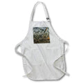 Apron - DRIFTWOOD WITH LICHEN MIRROR PHOTO 2022 DYLAN SEIBOLD - PHOTO ABSTRACTION