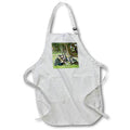 Apron - Vintage Leading the Gentlmens Life While Mother Prays for your Soul Magic Lantern Slides