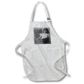 Apron - Basket Full of Mischief Little Girl in Basket 1890s Victorian Photo Magic Lantern Slides