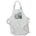 Apron - Magic Lantern Slide Keystone Eric Cana Buffalo New York Tug Deleware Magic Lantern Slides