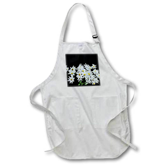 Apron - Magic Lantern Slide Flannal Flower From Australia Magic Lantern Slides