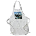 Apron - Magic Lantern Slide Edwardian Seaside Vacation Circa 1900 Photo Magic Lantern Slides