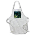 Apron - Magic Lantern Slide Sweetheart Days Moonlight Stroll Vintage Lovers Magic Lantern Slides