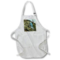 Apron - Magic Lantern Slide Jesus Christ in the Wilderness Vintage Magic Lantern Slides