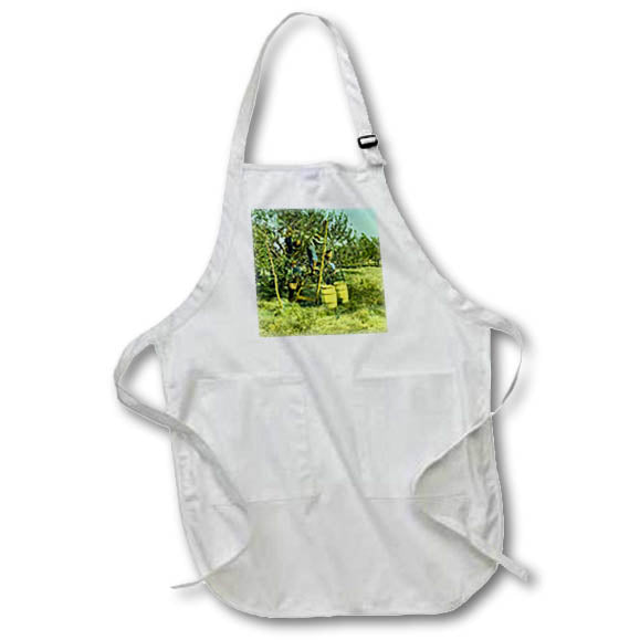 Apron - Magic Lantern Slide New Brunswick Canada Apple Picking Vintage Magic Lantern Slides