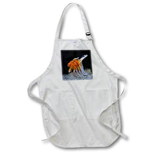 Apron - Photograph Of A Pet Goldfish Photography - Goldfish