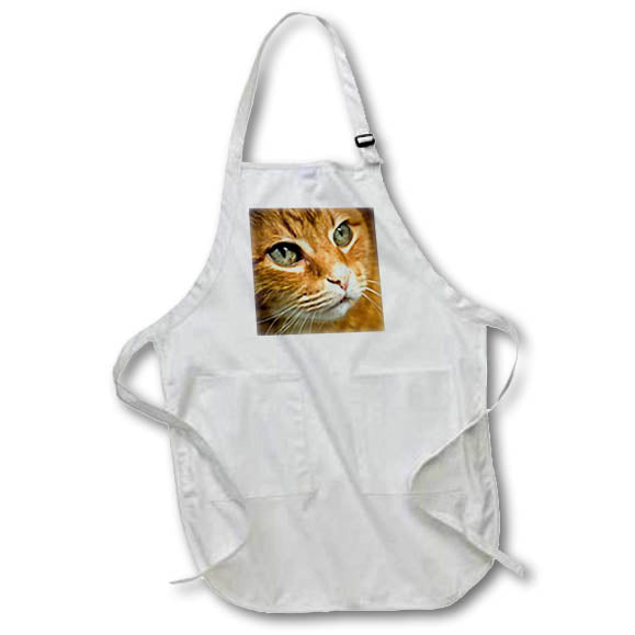 Apron - Adorable Ginger Tabby Cat Posing Artistic Pet Portrait Acrylic Art - Tabby Cat