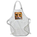 Apron - Adorable Ginger Tabby Cat Posing Artistic Pet Portrait Photography - Tabby Cat