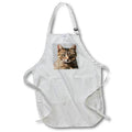 Apron - Portrait Of A Cute Tabby Cat With Direct Eye Contact Vector on Grey Vector Art - Tabby Cat