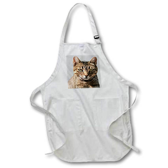 Apron - Portrait Of A Cute Tabby Cat With Direct Eye Contact Vector on Grey Vector Art - Tabby Cat