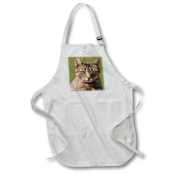 Apron - Portrait Of A Cute Tabby Cat With Direct Eye Contact Vector on Green Vector Art - Tabby Cat