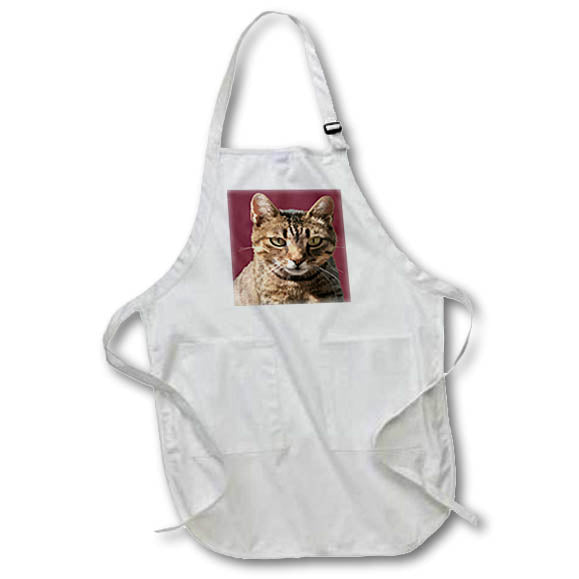 Apron - Portrait Of A Cute Tabby Cat With Direct Eye Contact Vector on Red Vector Art - Tabby Cat