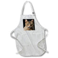 Apron - Portrait Of A Cute Tabby Cat With Direct Eye Contact Vector on Black Vector Art - Tabby Cat