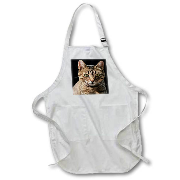 Apron - Portrait Of A Cute Tabby Cat With Direct Eye Contact Vector on Black Vector Art - Tabby Cat